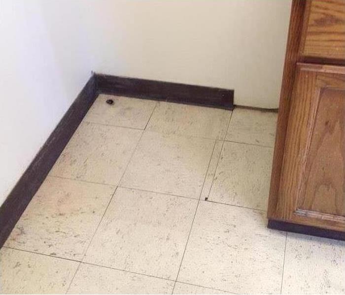 Clean floor underneath refrigerator.
