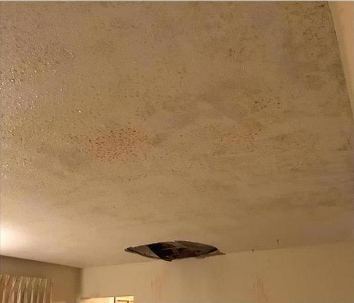 Water stained ceiling.