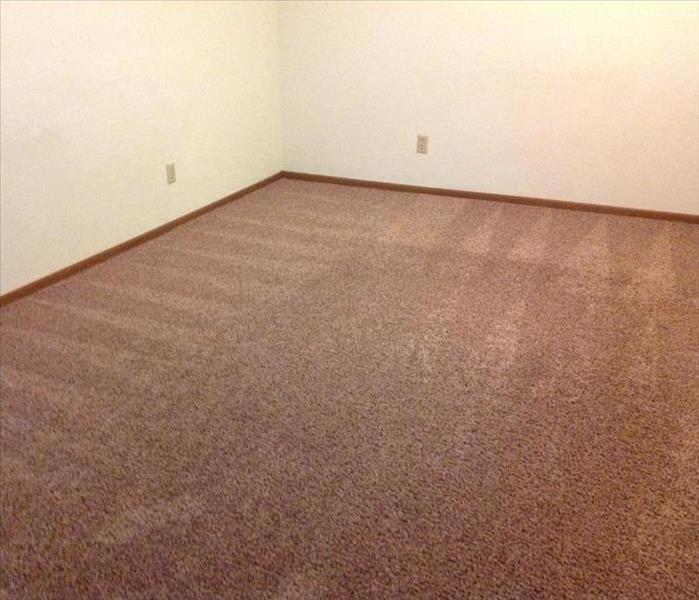 Carpet with cleaning patterns in it