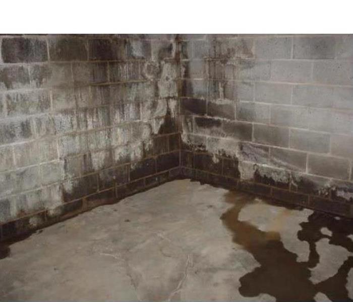Wet basement